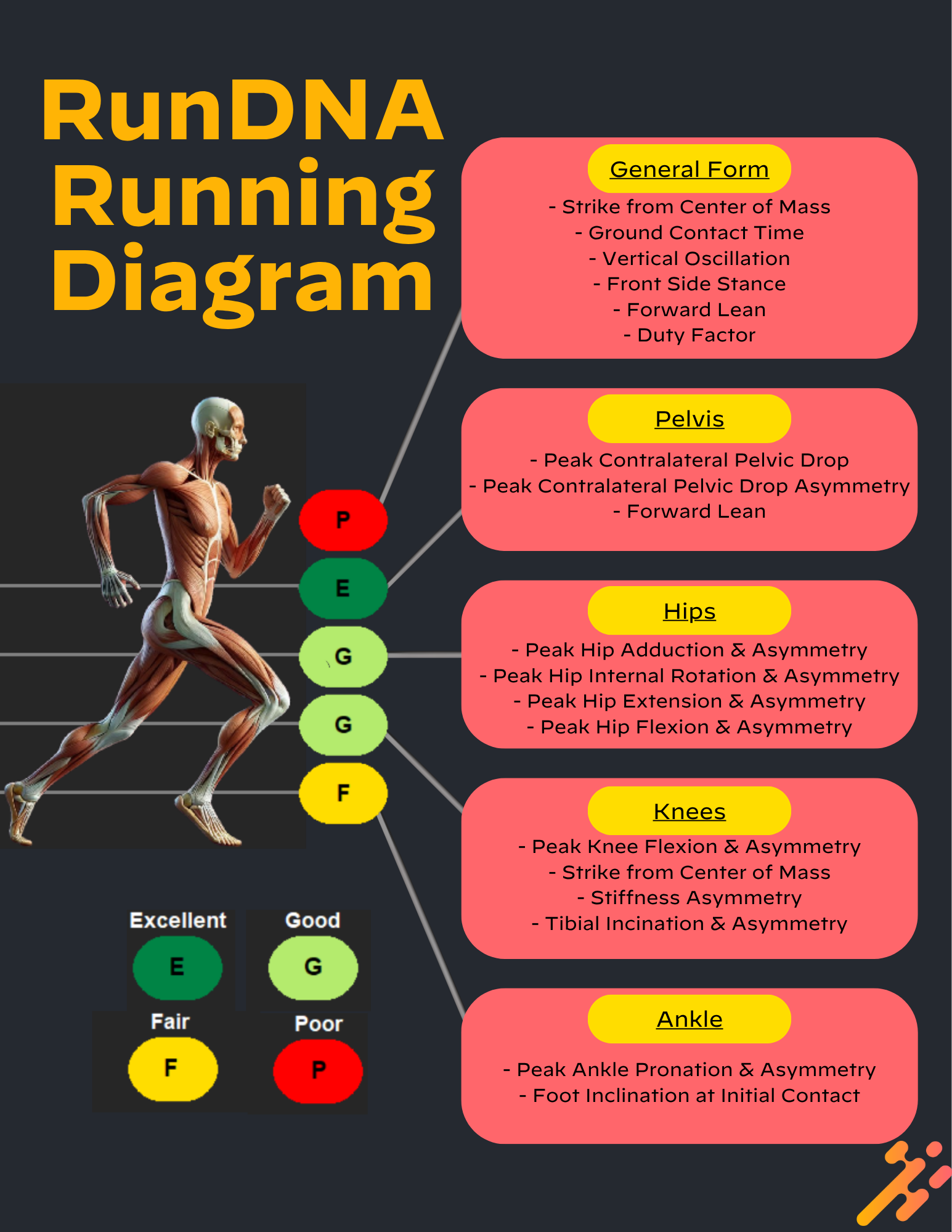 RunDNA Blob Logic.png